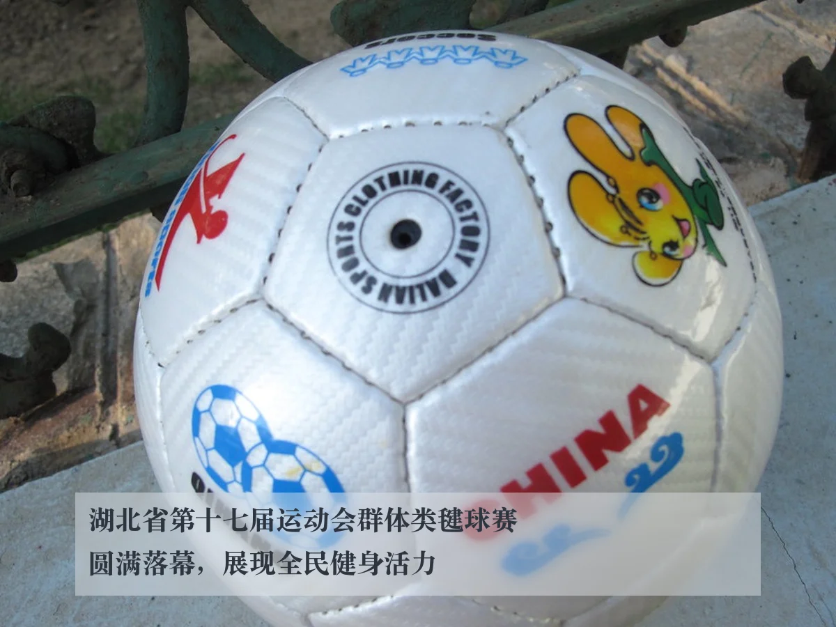 湖北省第十七届运动会群体类毽球赛圆满落幕,展现全民健身活力